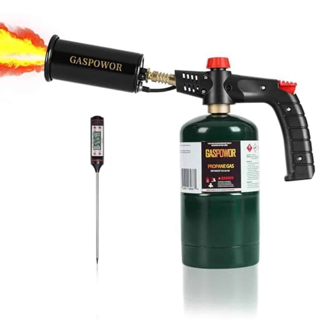Test de la torche à charbon de bois avec thermomètre pour barbecue