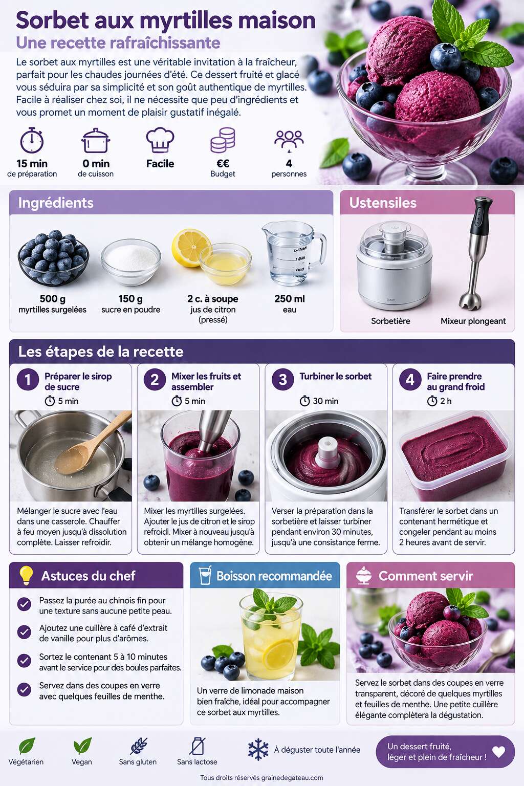 Fiche recette Sorbet aux myrtilles maison : une recette rafraîchissante Fiche recette Sorbet aux myrtilles maison : une recette rafraîchissante
